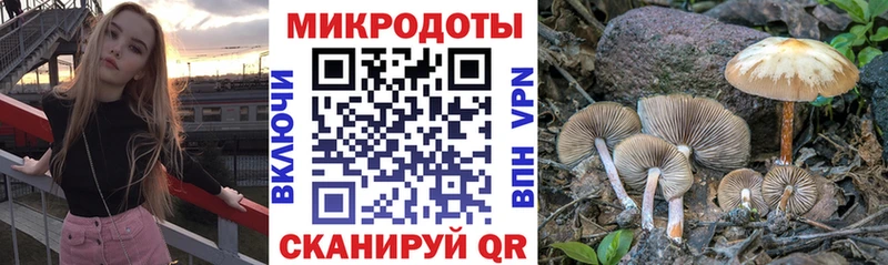 Псилоцибиновые грибы MAGIC MUSHROOMS  Новоалтайск 